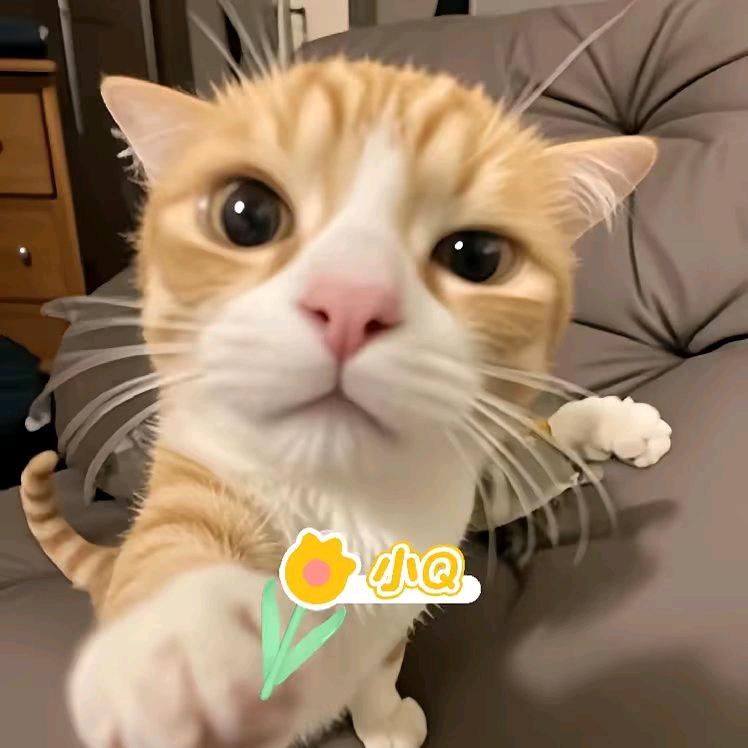 又菜又爱玩