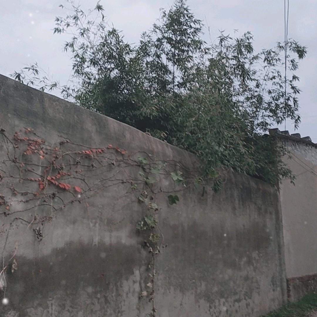 马昊博