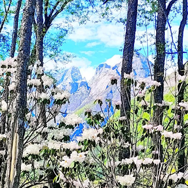 上了个b学，成了个b人😅