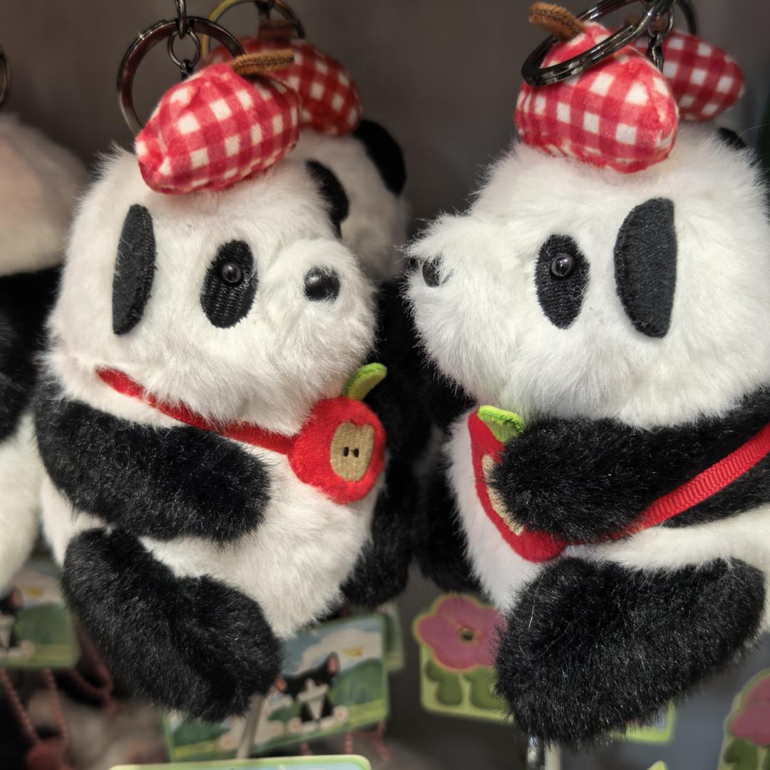 菜头儿