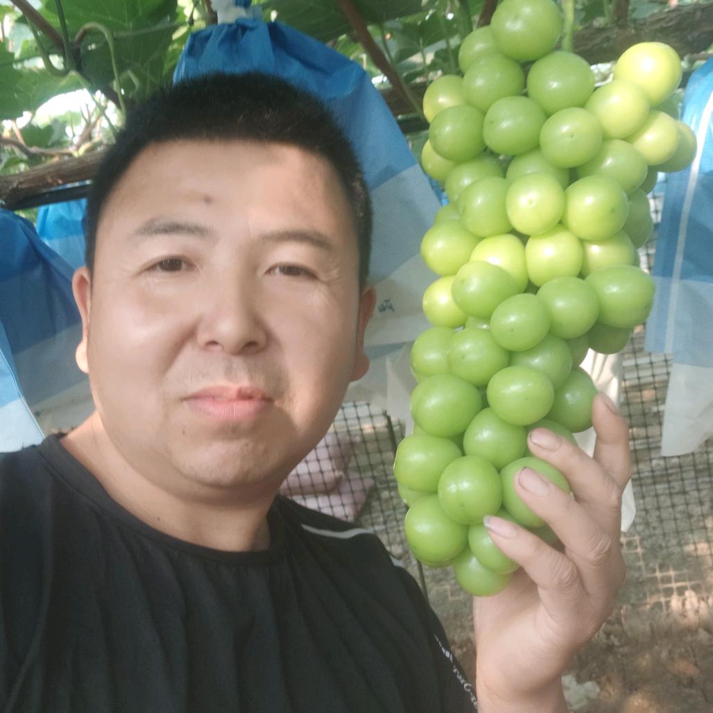 眉县横渠镇新宝果行(果然好健康家庭农场)