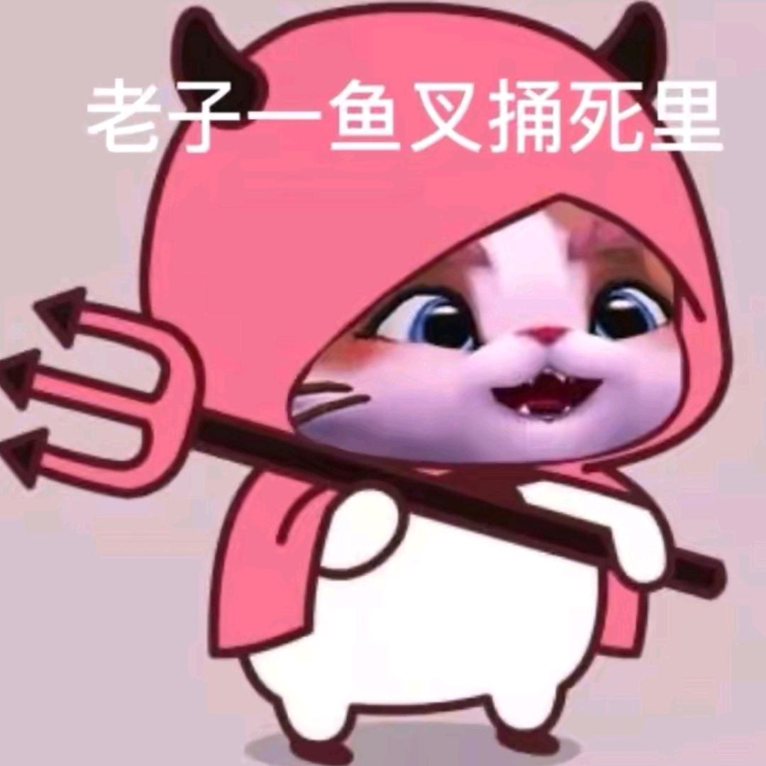 你的蝶来了
