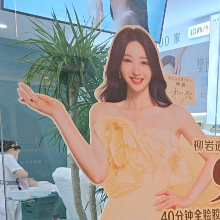 樊文花面部连锁弘阳店