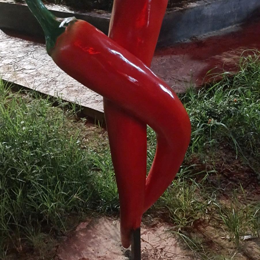 月秋！🌹🌹