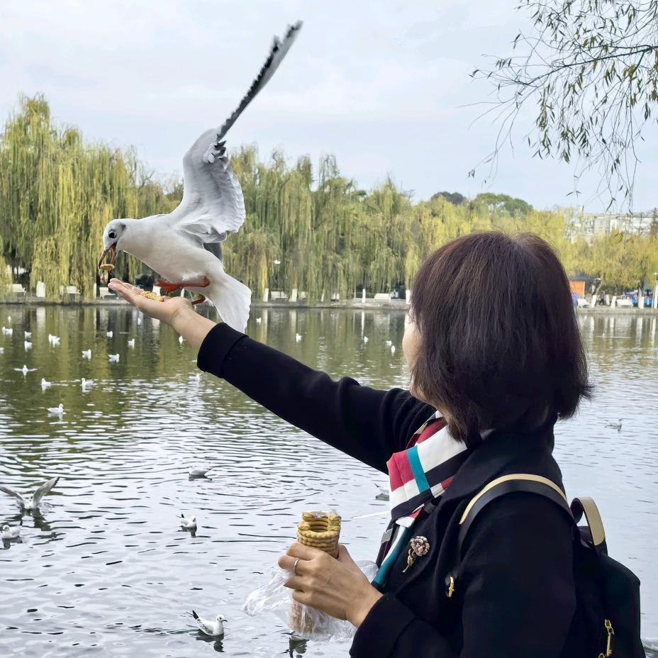 同心缘