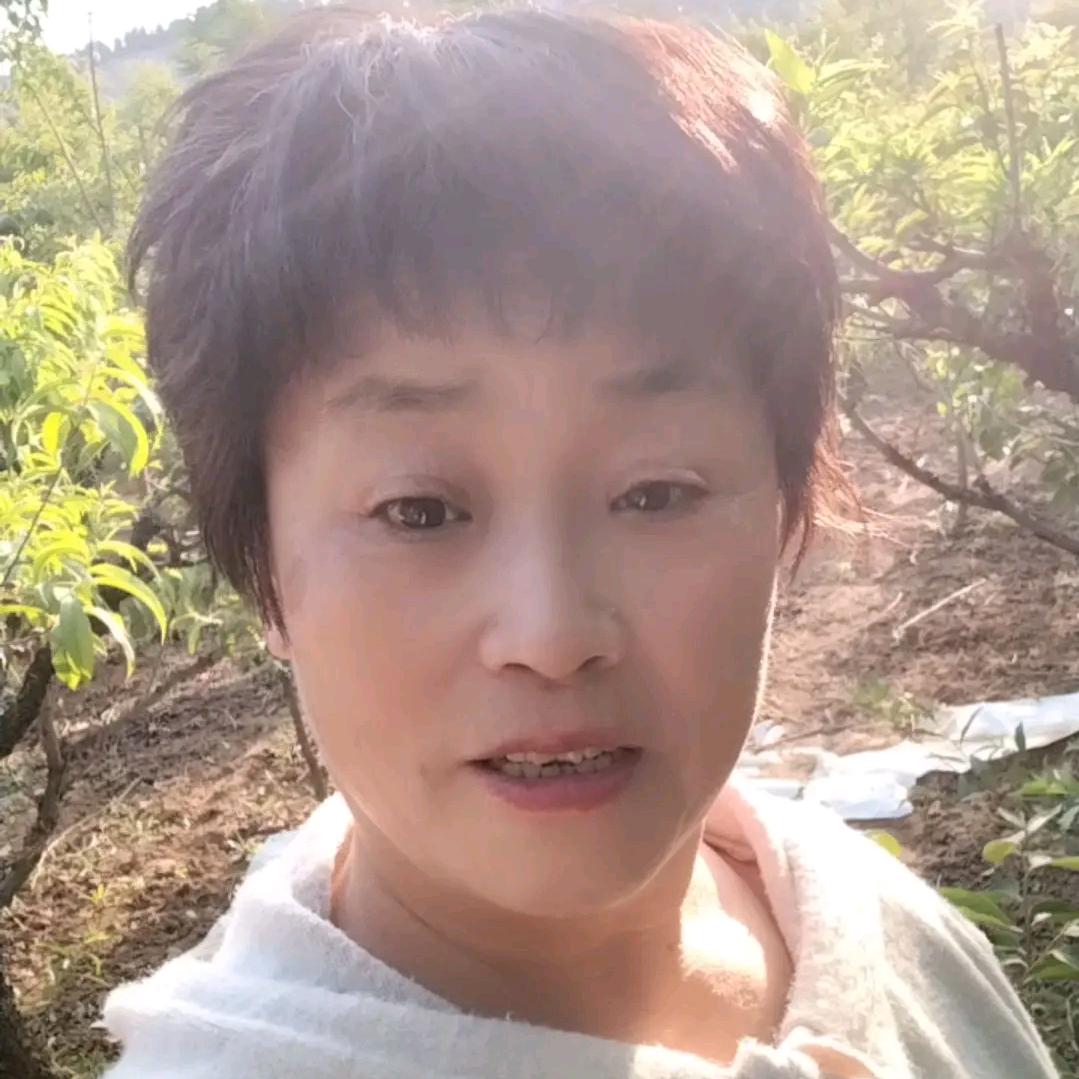 朱华