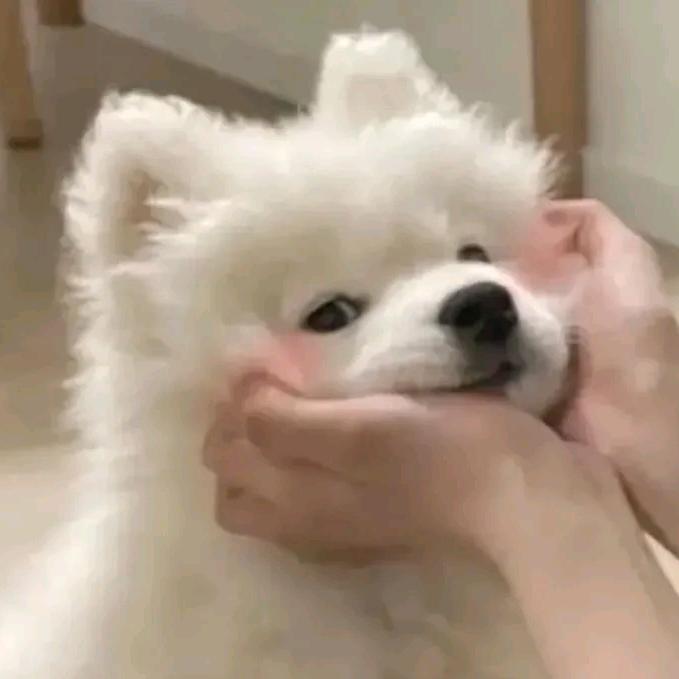 煜煜煜