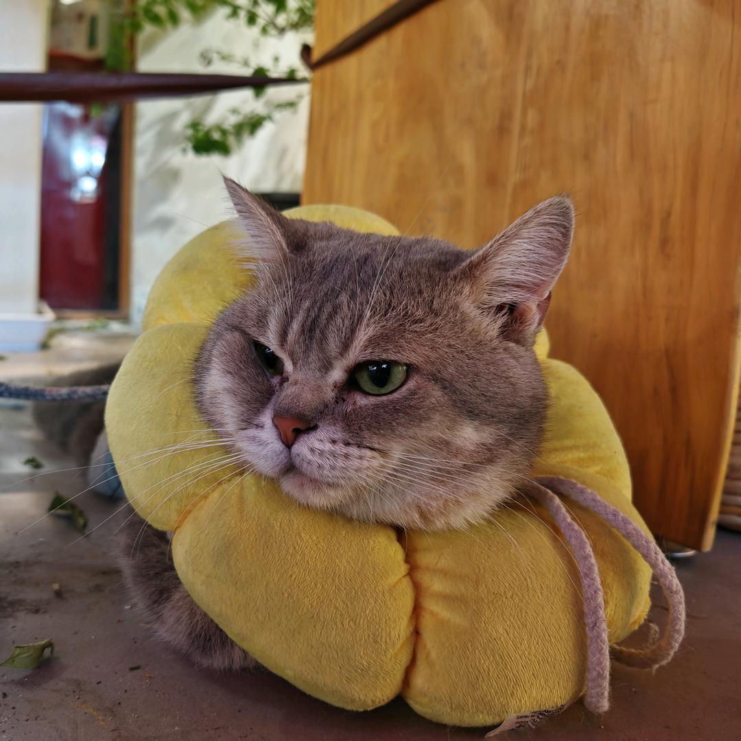 912🌻