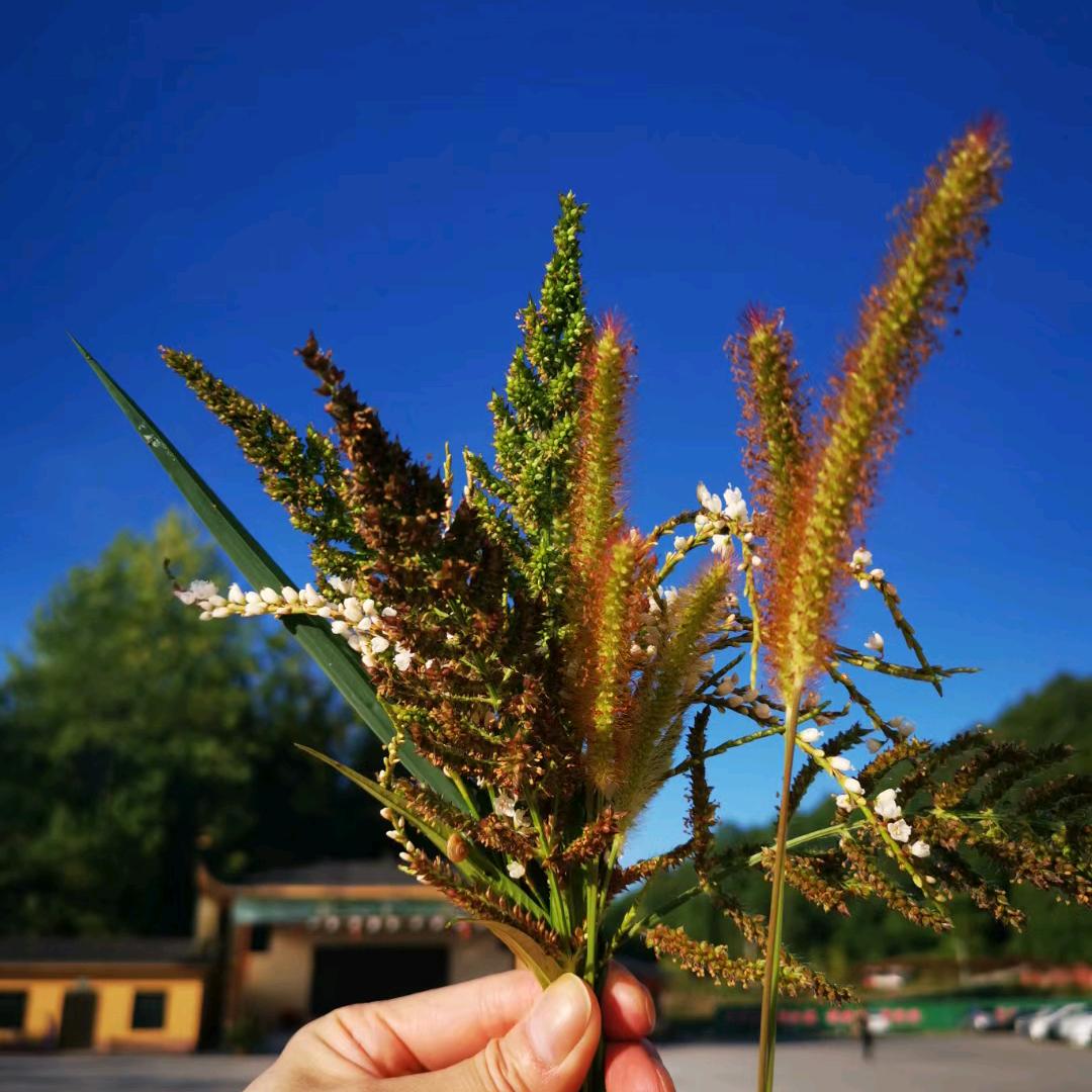 余德凤（拒绝连赞）