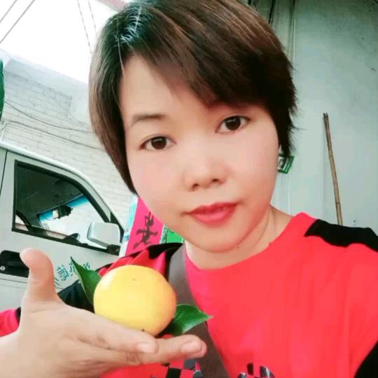 @禅心水果