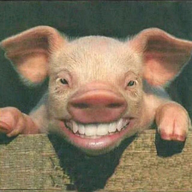 ☞苏北第一狠人☜