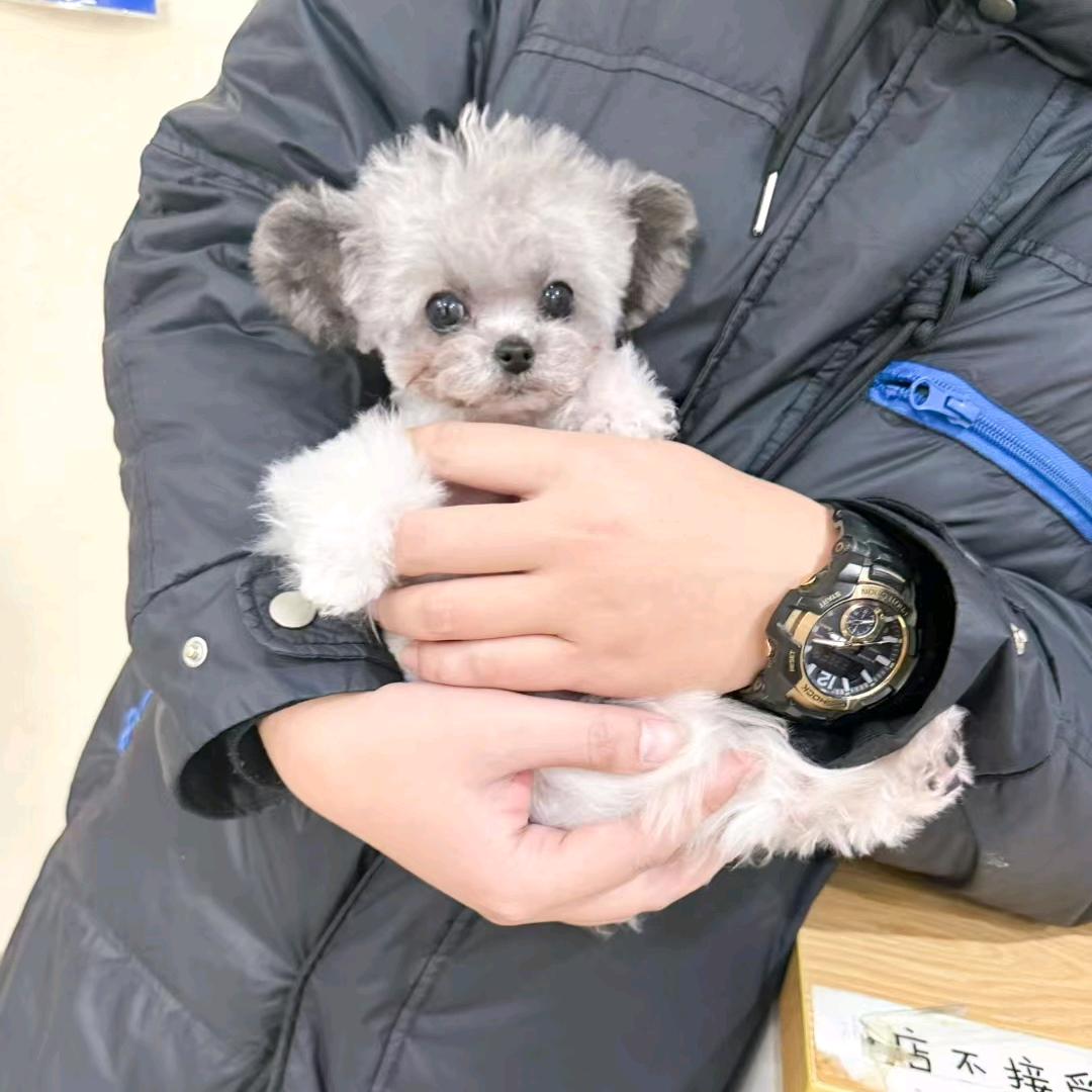 小喵喵家🐶