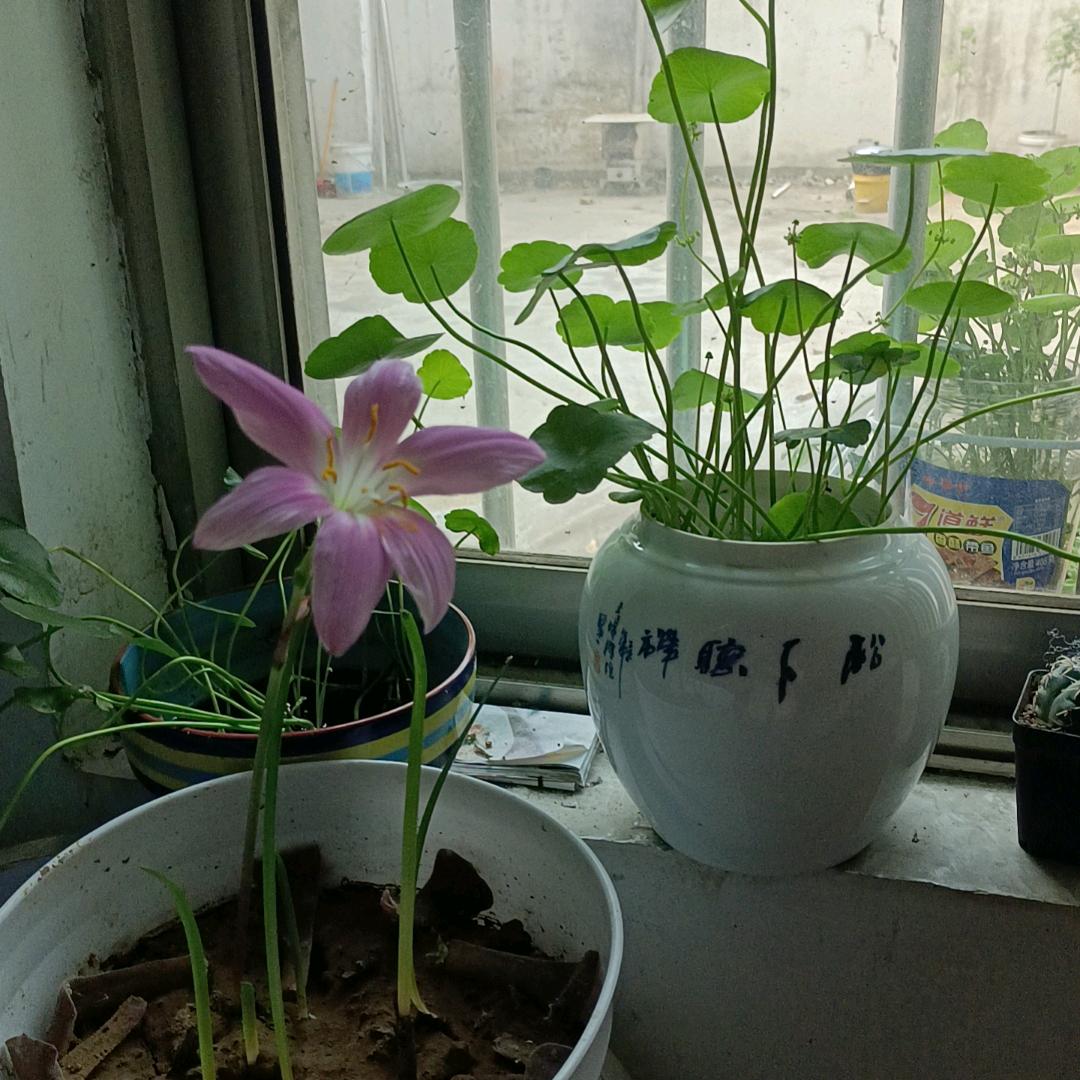 姐已不是当年的姐🎄💞