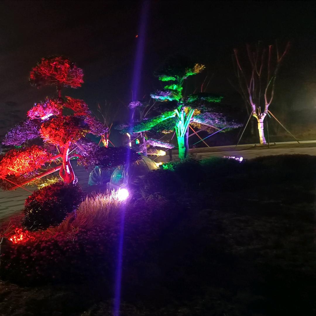 香草