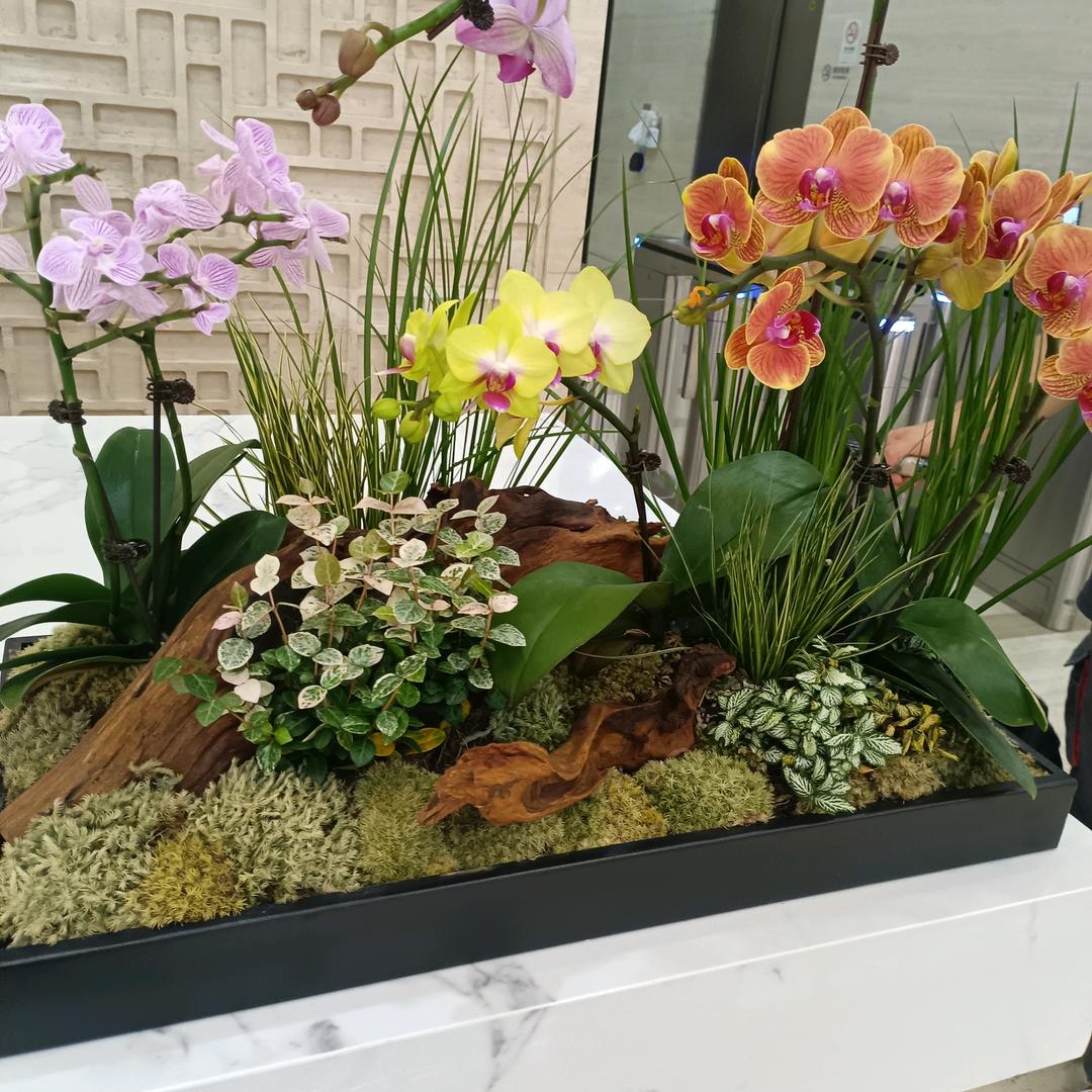 等不到你🇨🇳