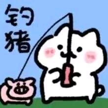 Rhizophora苳