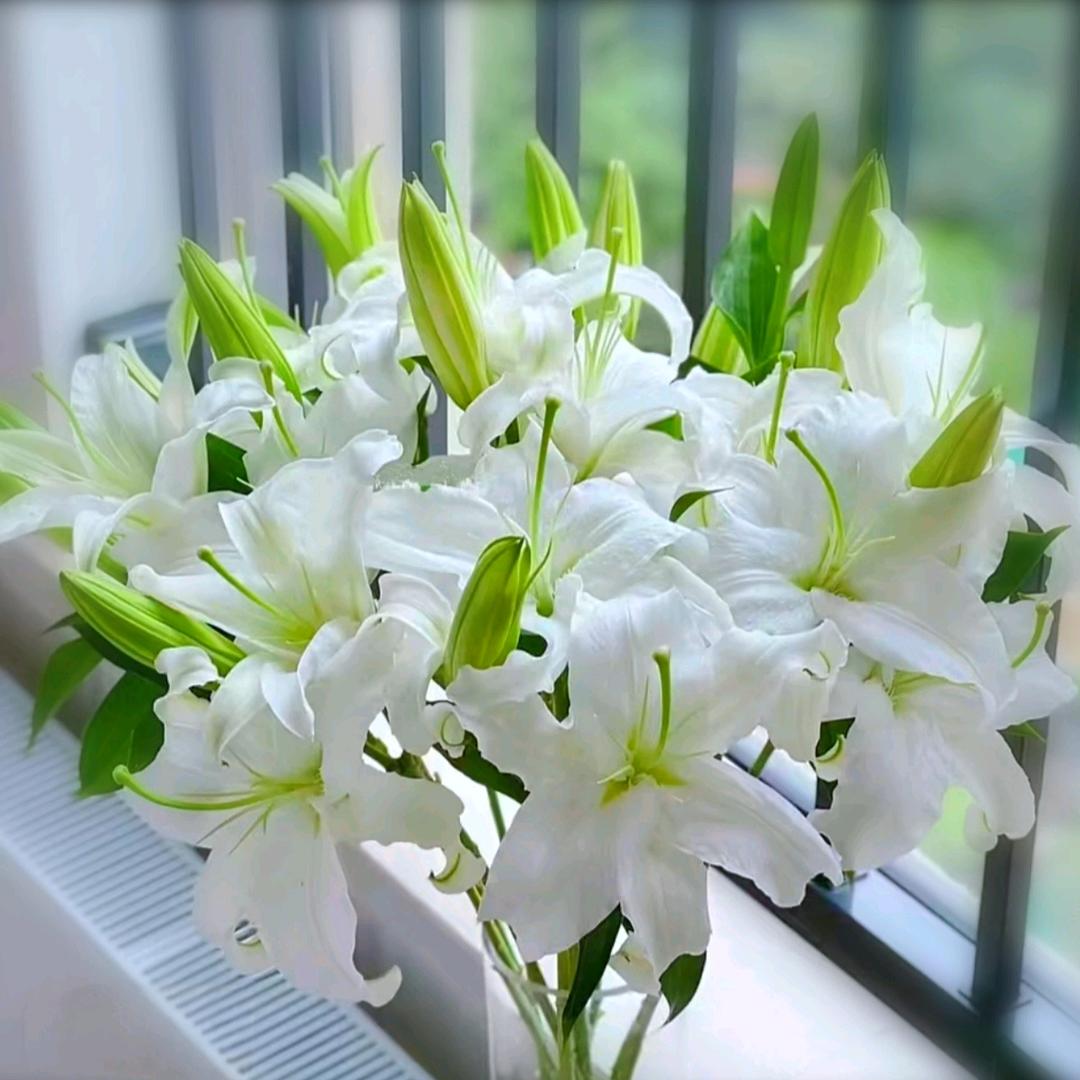 万亩花田花卉