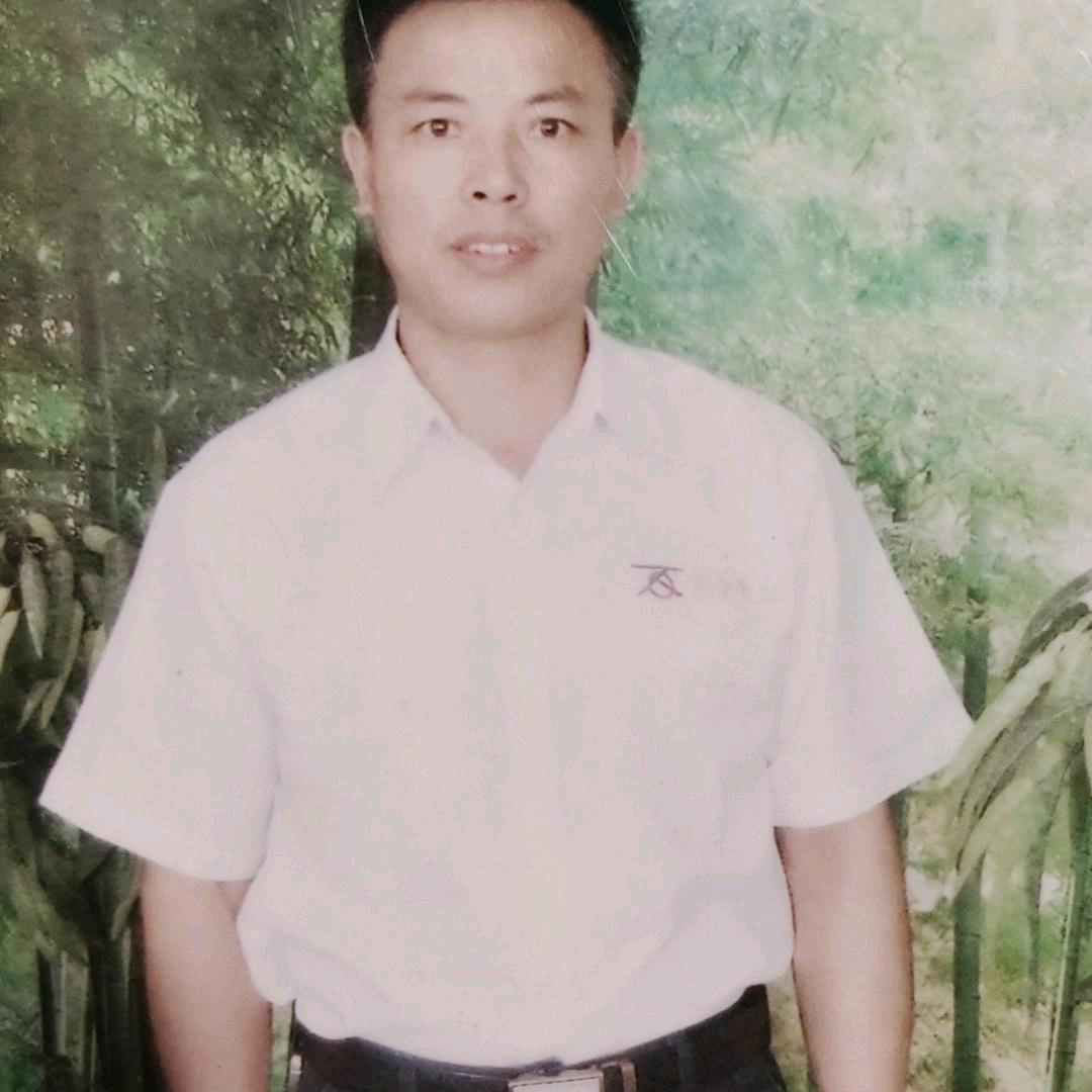 清华树