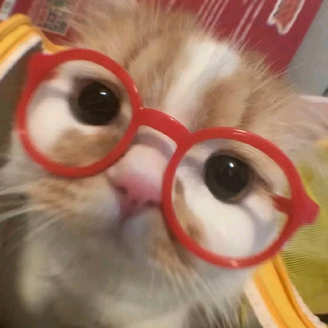 真没招了🤪🤪🤪