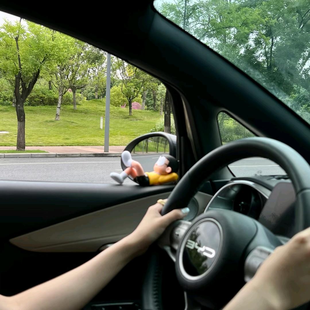 小海豚出门了🚗