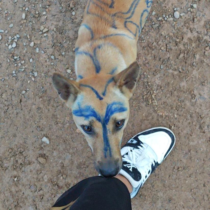 ღ᭄别推塔推我࿐