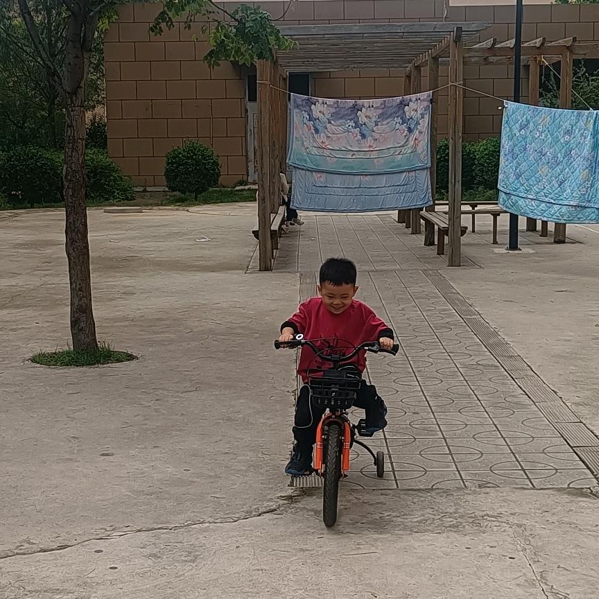如意哥