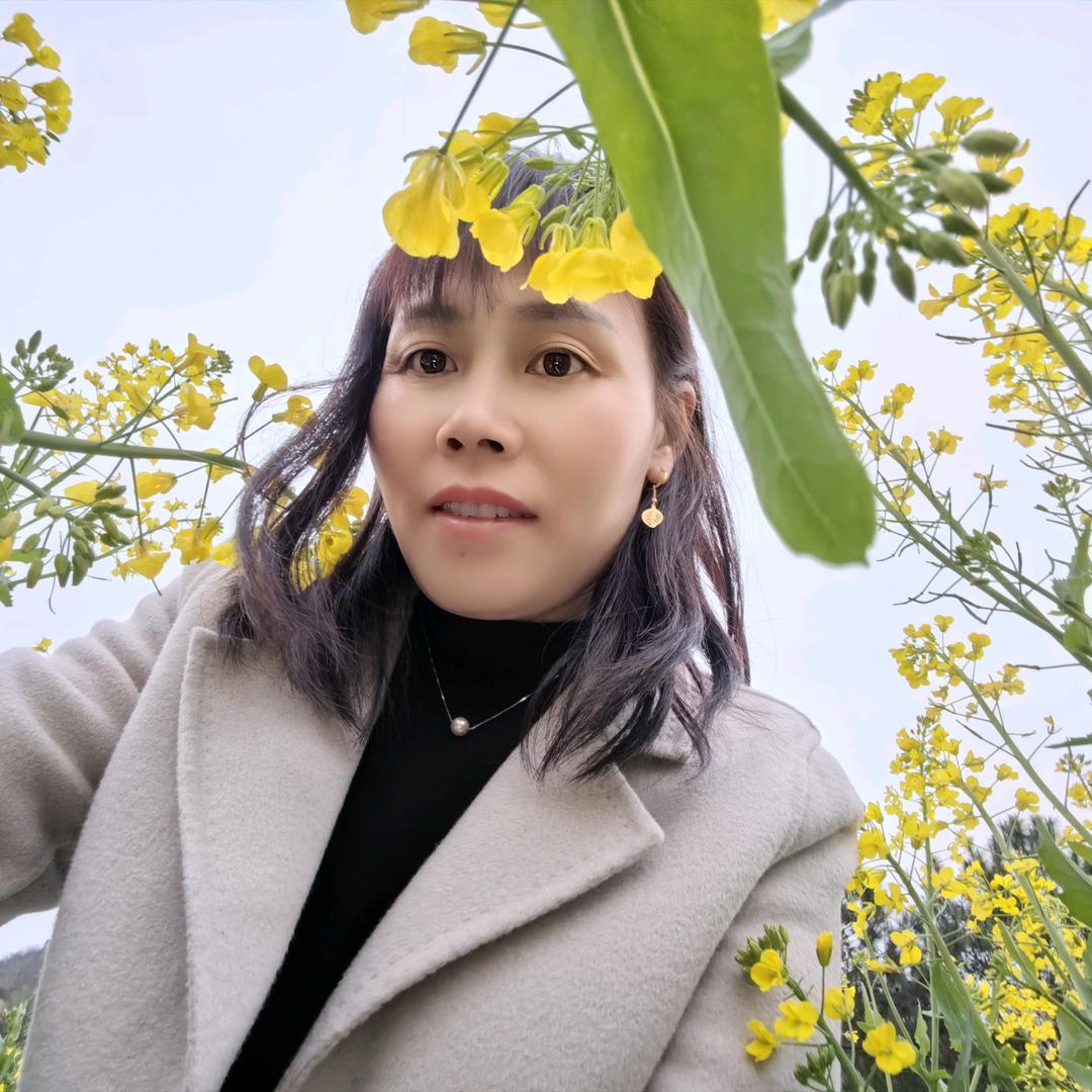 梦屿千寻