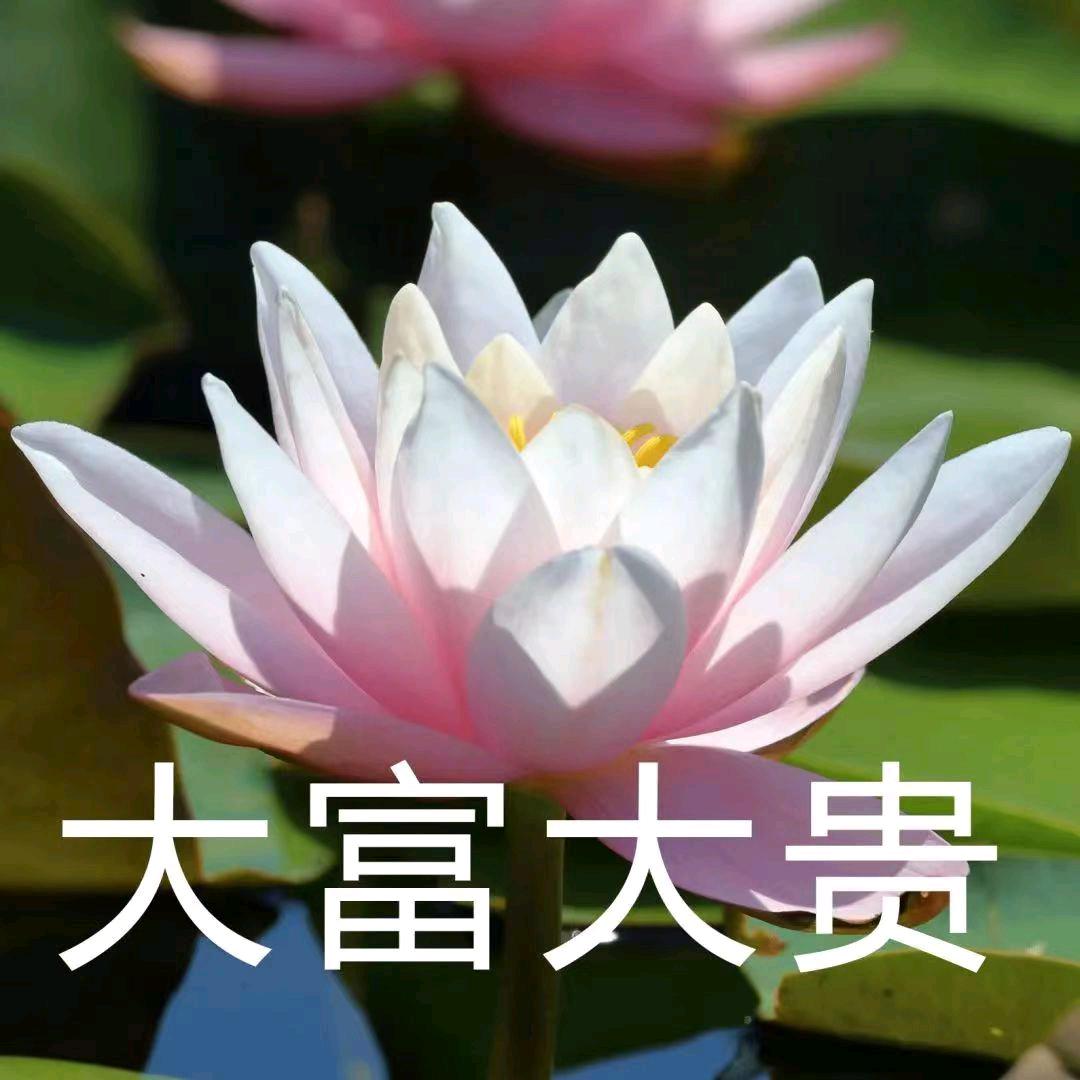 我开心你快乐