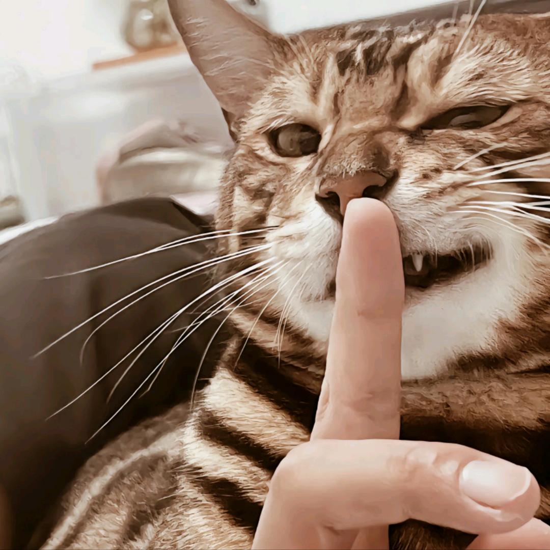 -L-
