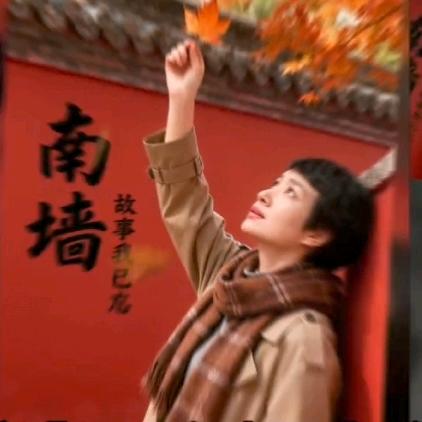 尹小元(橱窗有好物)