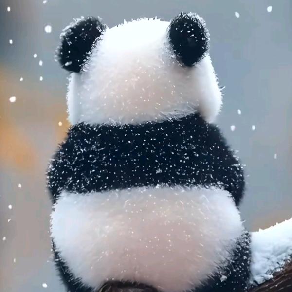 思翁诵