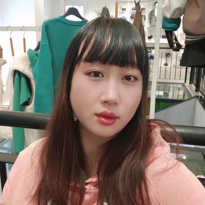 燕子🕊️