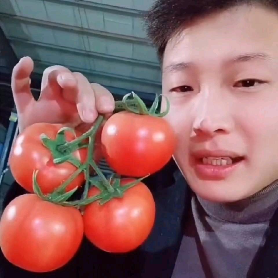 桃林小鲍蔬菜代收