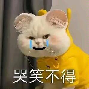 动画游戏社HD