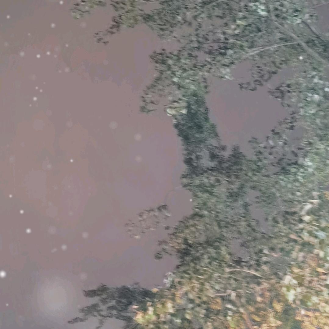 快乐的小鱼