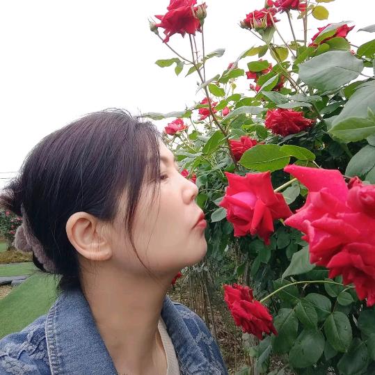 春暖花开
