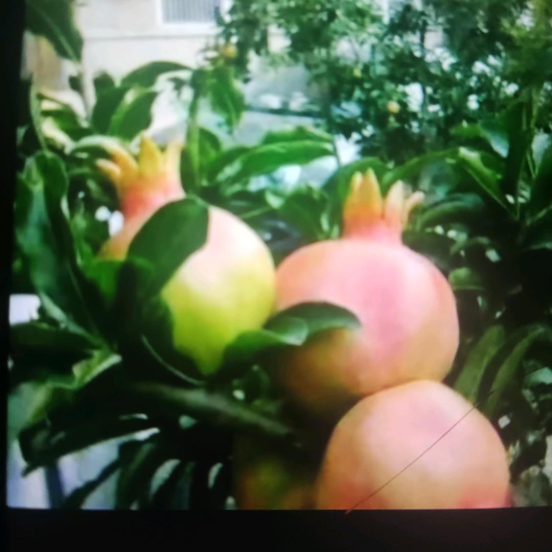健康幸福每一天