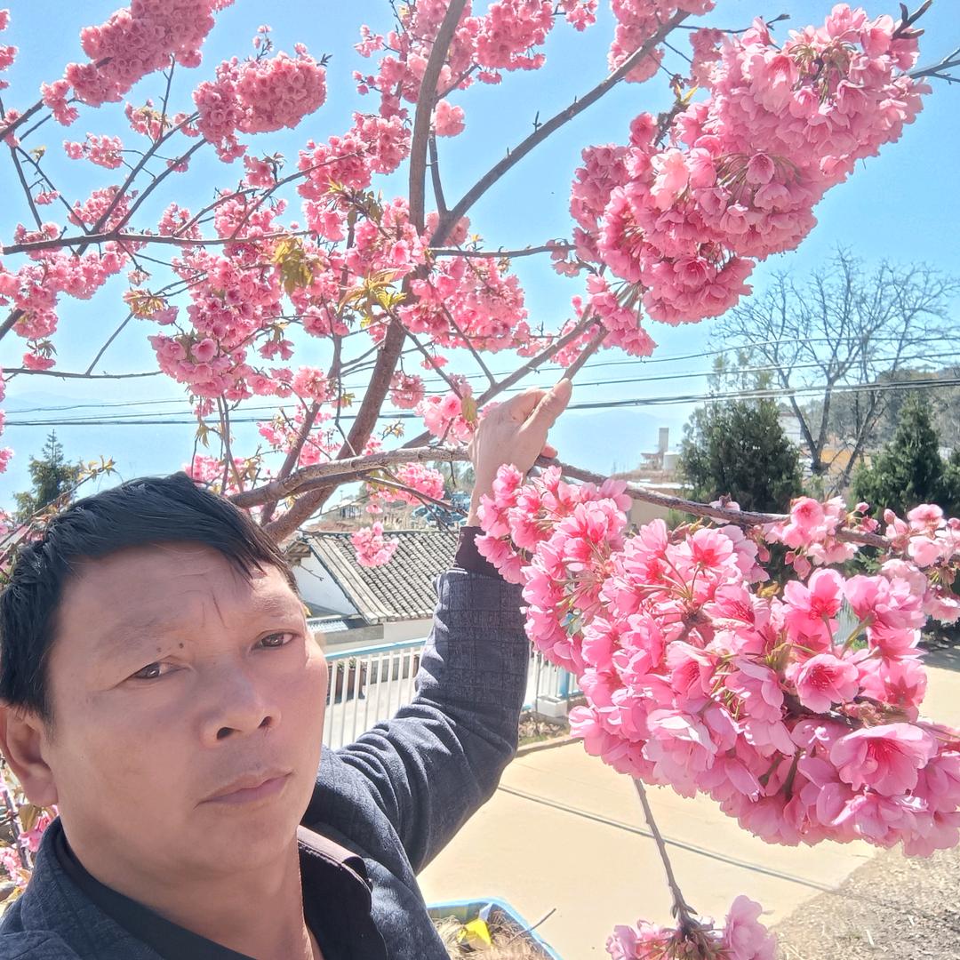 网后一生。