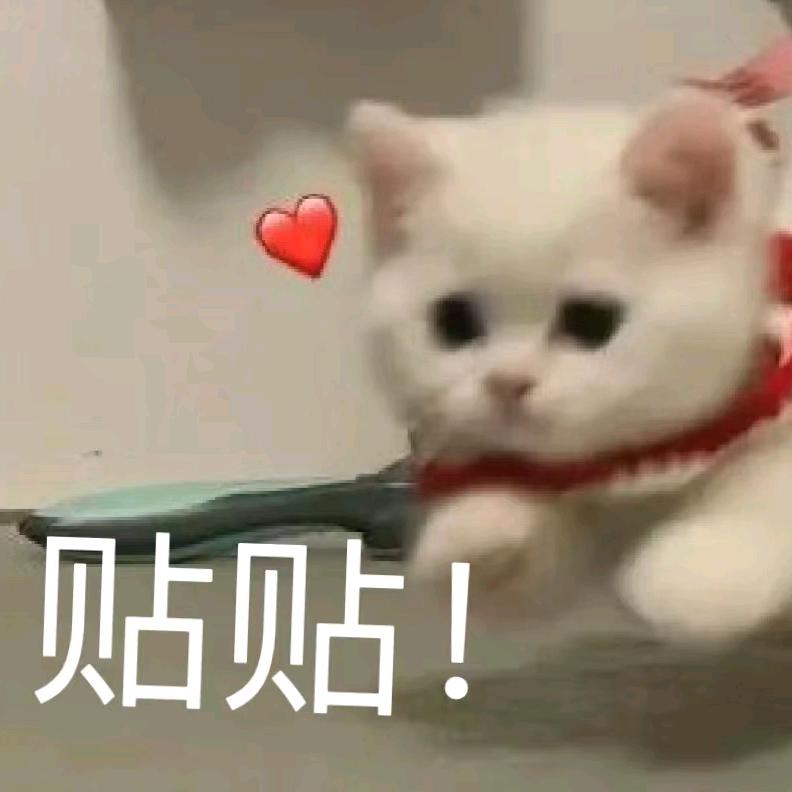 晶晶噜噜