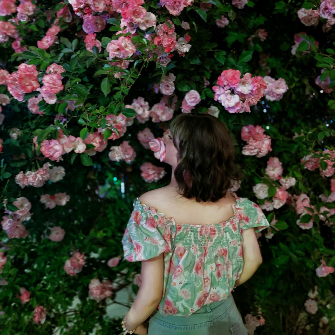 杨三三🌸