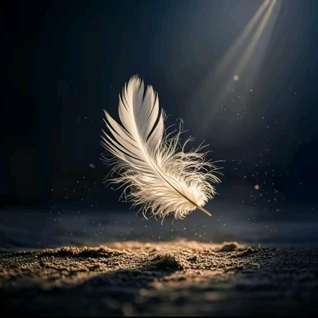 𓆡𓆟𓆝𓆟𓆜𓆞𓆝𓆟𓆜𓆞