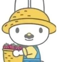 一百天(自律版)