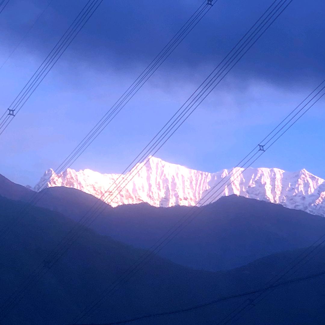 专用车配送权哥
