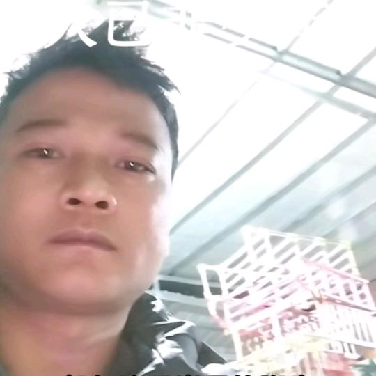 闻华