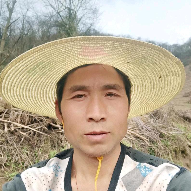 共享