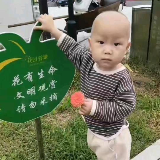 70后大叔（1008）