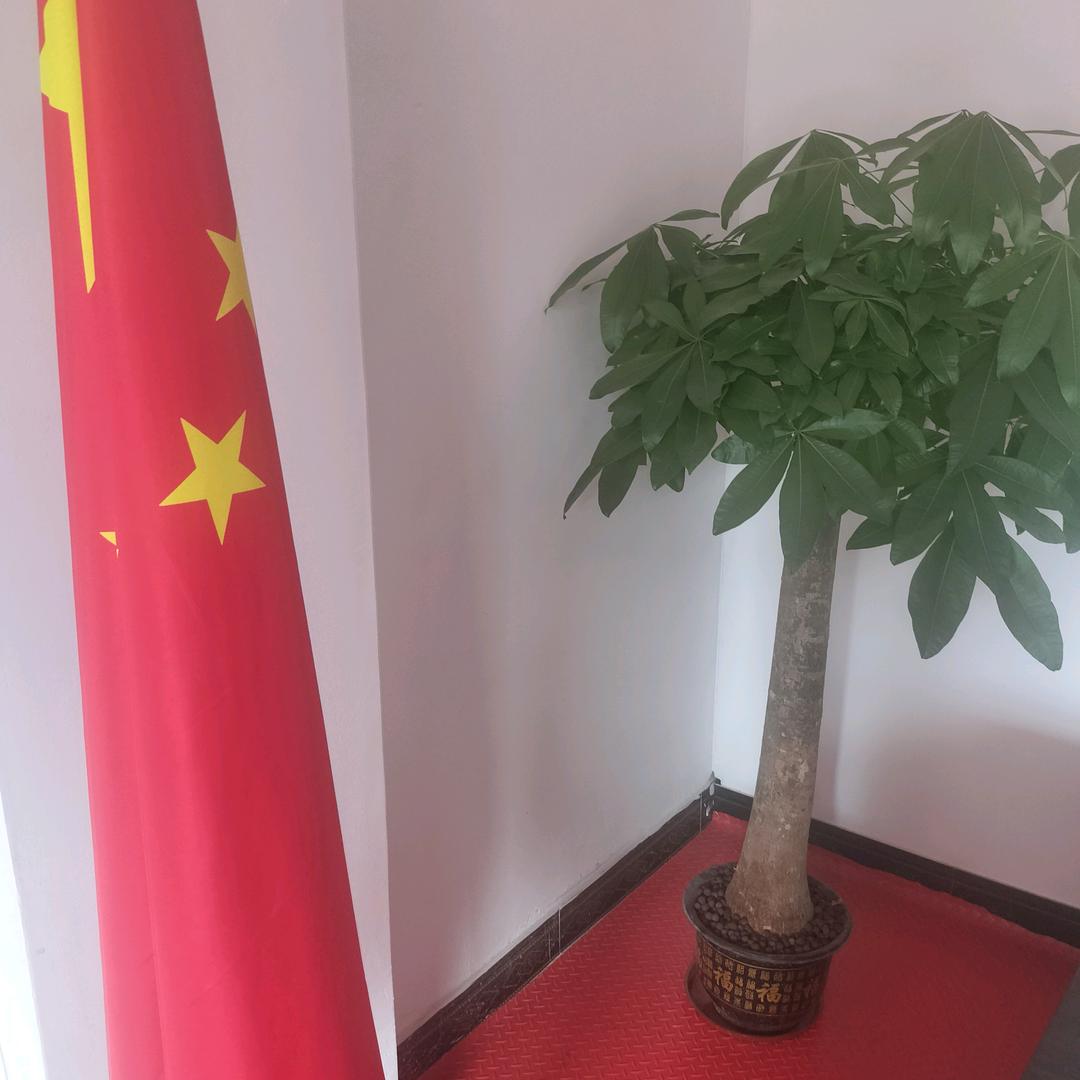 2025年努力创业