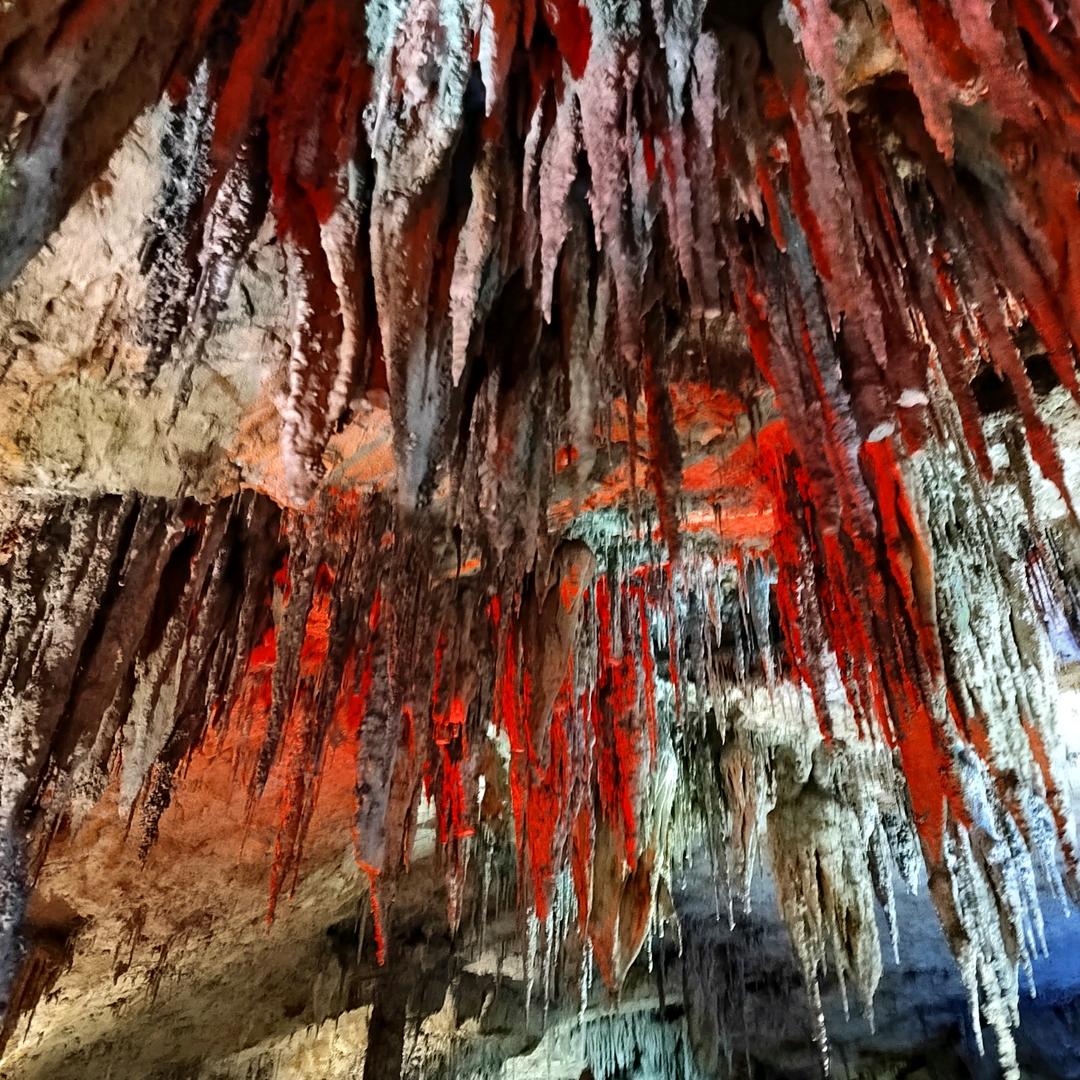 好了伤疤忘了疼