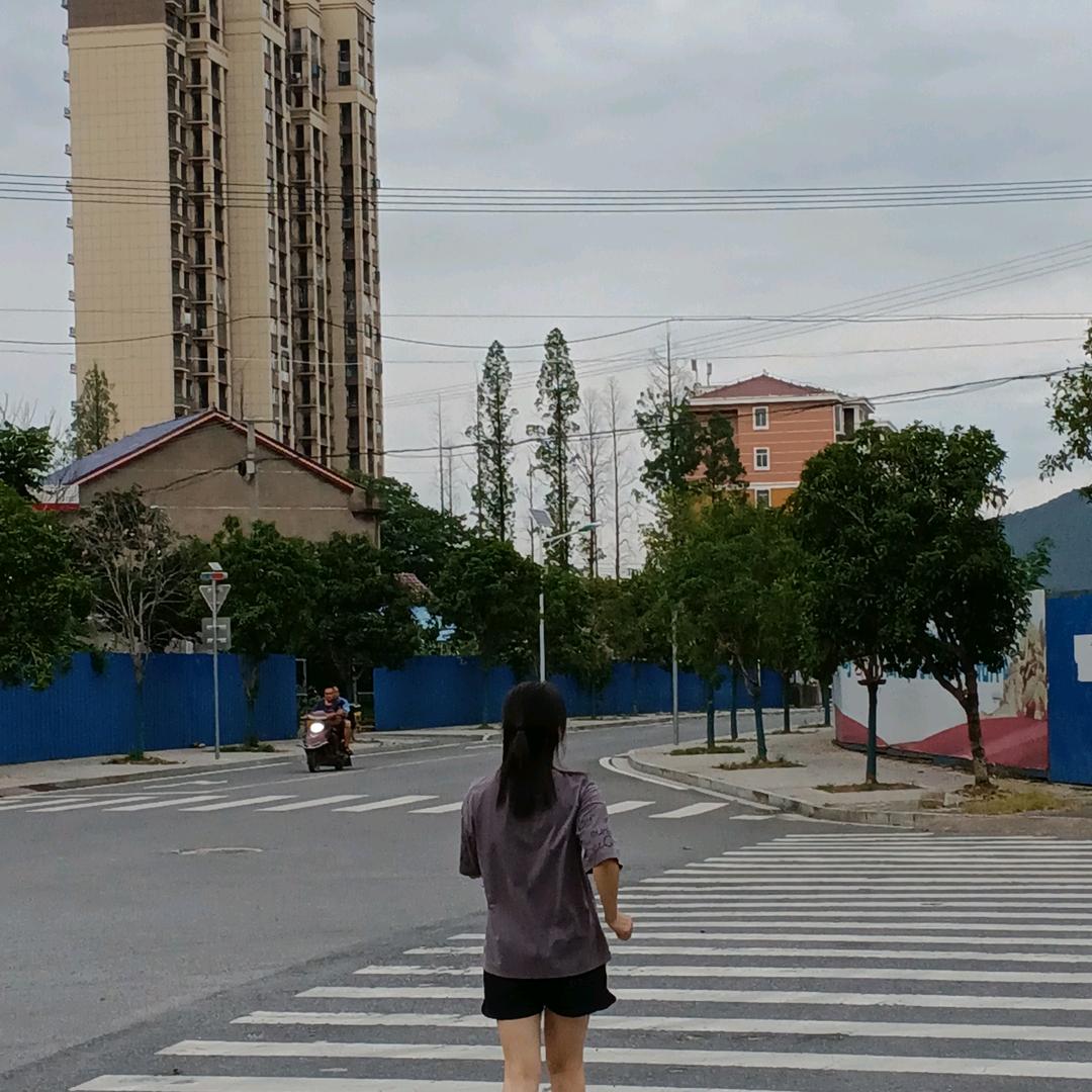 又名指甲花(津市牛肉粉)