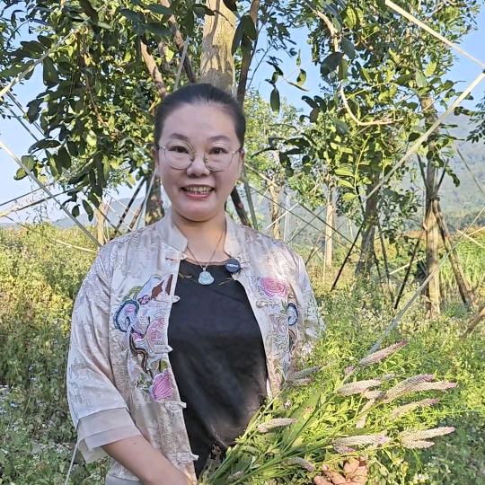 王老师讲植物